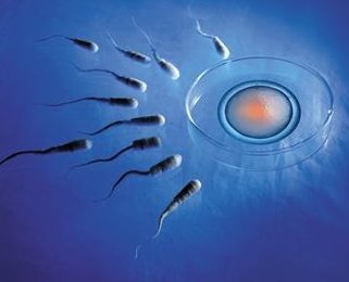 2026年韶关助孕行业领军企业盘点，权威名单揭晓！