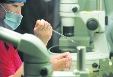 适合试管降调期间吃的水果有哪些？