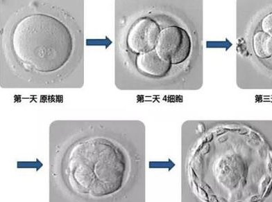武汉三代试管医院名单公布，好医院很多
