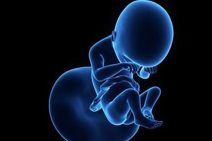 在厦门安宝医院做试管的成功率有多少？